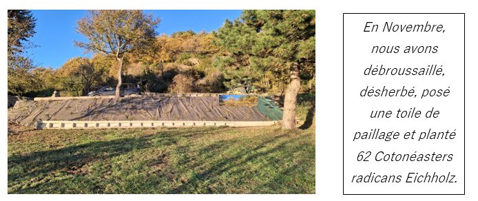 2025 bute dessous la table pique-nique